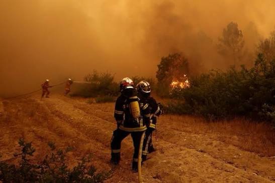 Deadly Heat and Wildfires Sweep Parts of Southern Europe