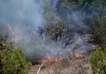 European Wildfires Force Evacuations Across Mediterranean Region