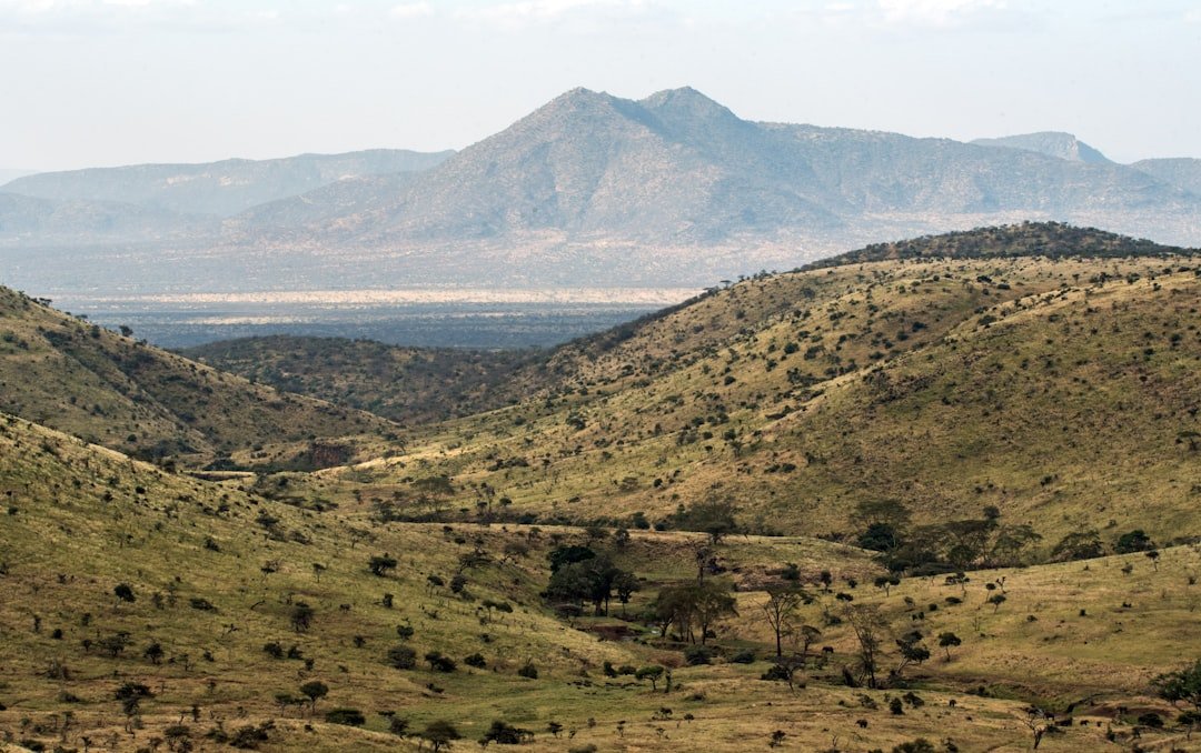 East Africa Confronts Severe Desert Locust Upsurge