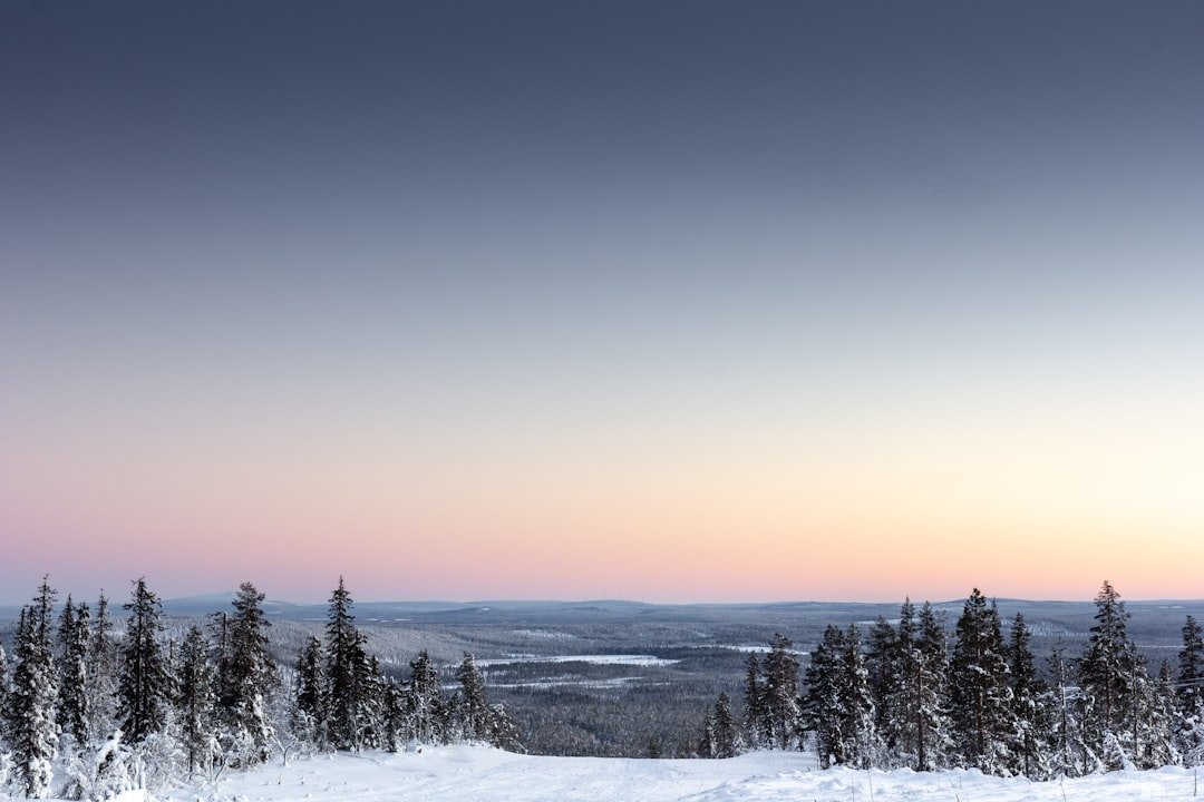 Google Announces $15 Billion AI Infrastructure Investment in Finland