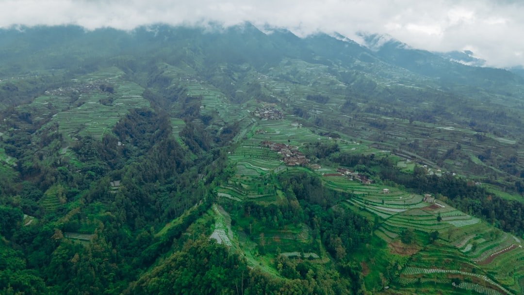 Indonesia’s Peat and Forest Fires Push Emissions to World’s Highest