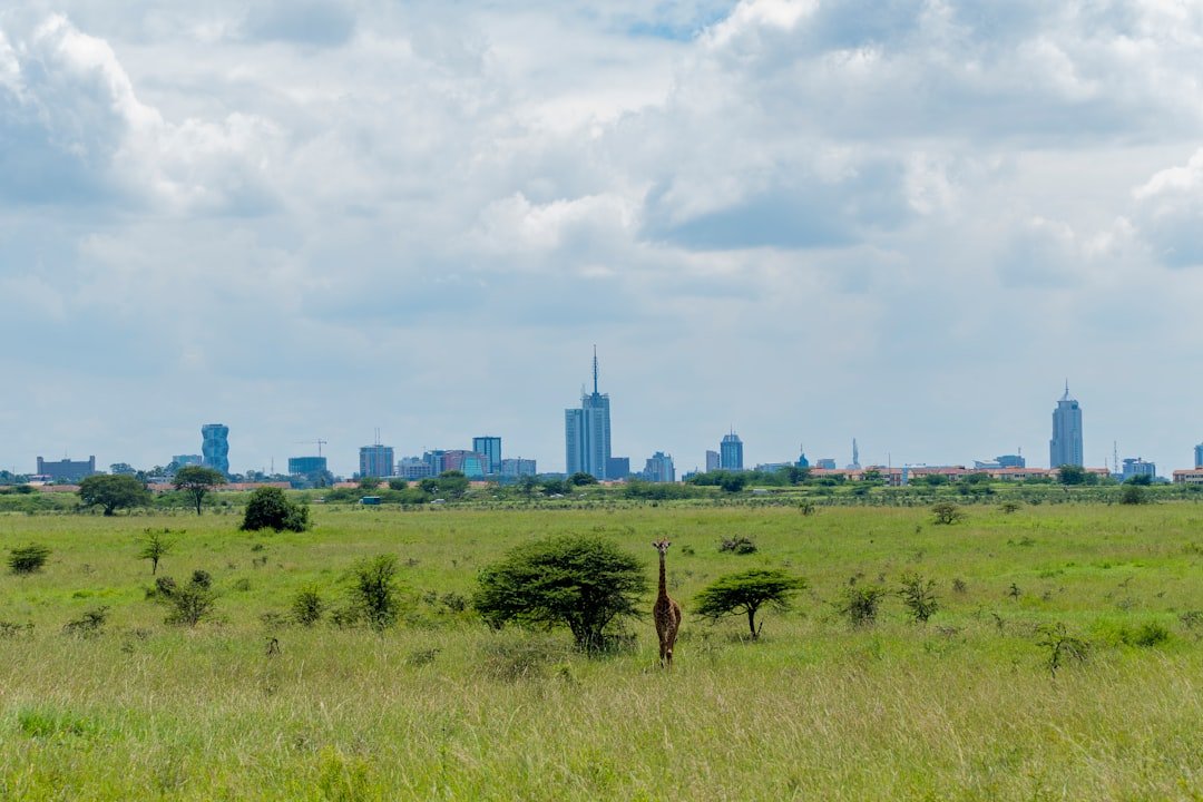 Kenya Moves Toward $400 Million World Bank Emergency Financing Package