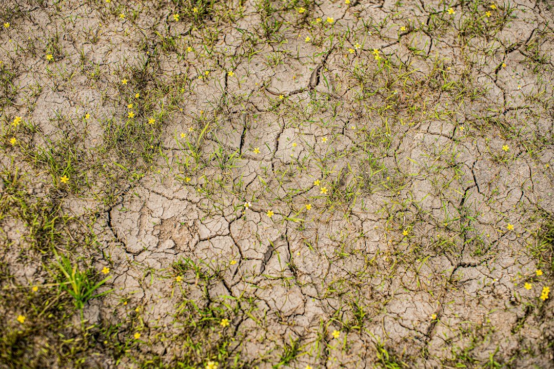 Cracked dry lake bed representing record heat and drought in Turkey