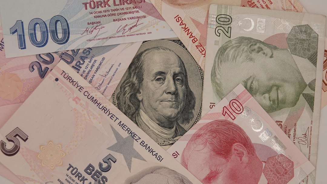 OECD Raises Turkey Inflation Forecast and Cuts Growth Outlook