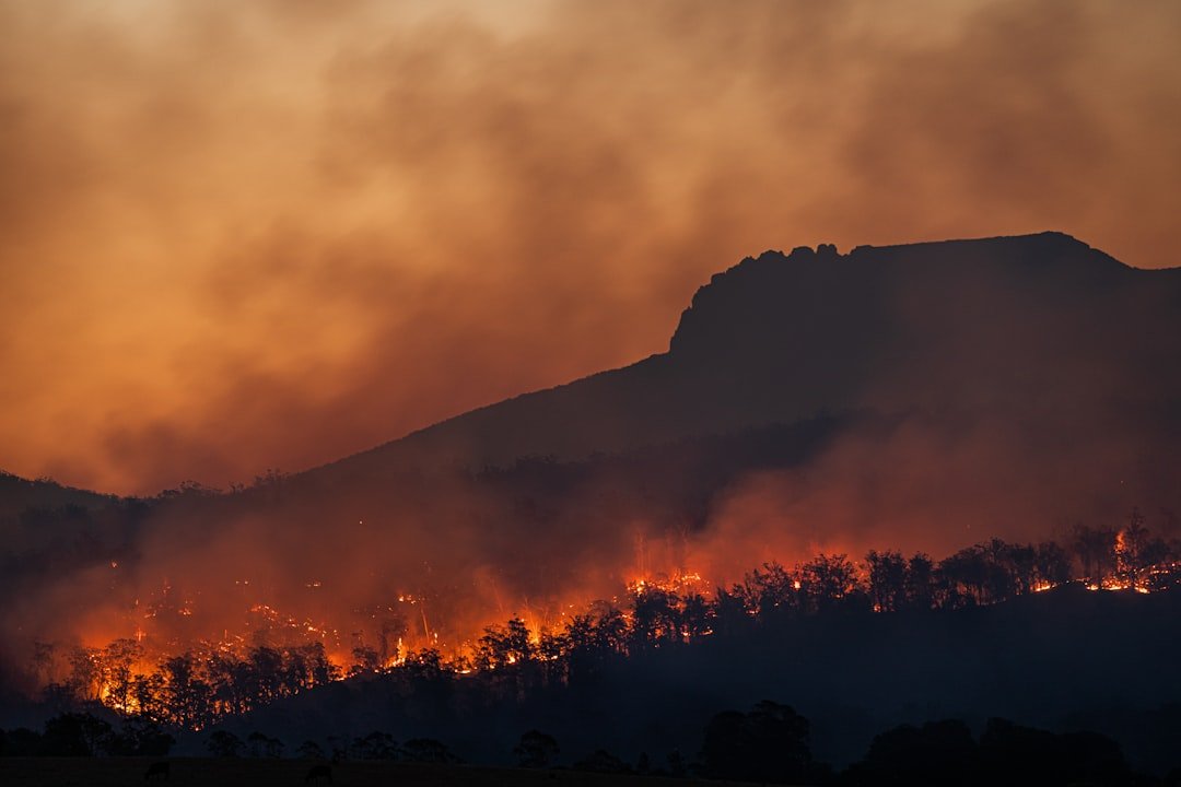 Wildfire smoke rising into the sky