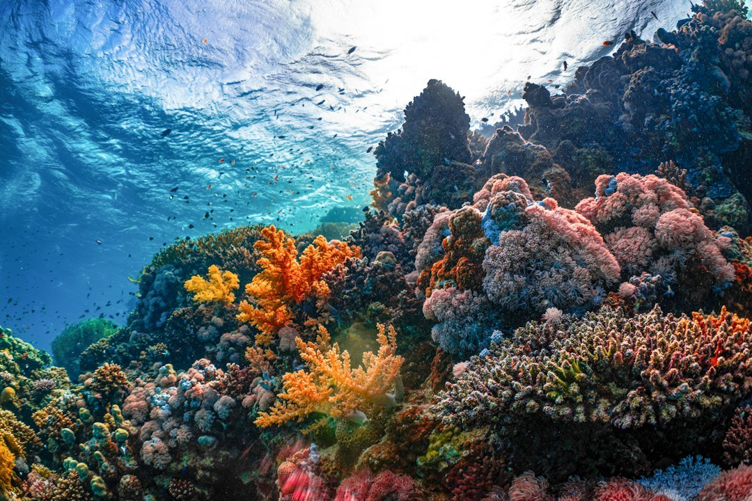 Climate Scientist Warns Global Warming Is Accelerating as Ecosystems Near Tipping Points