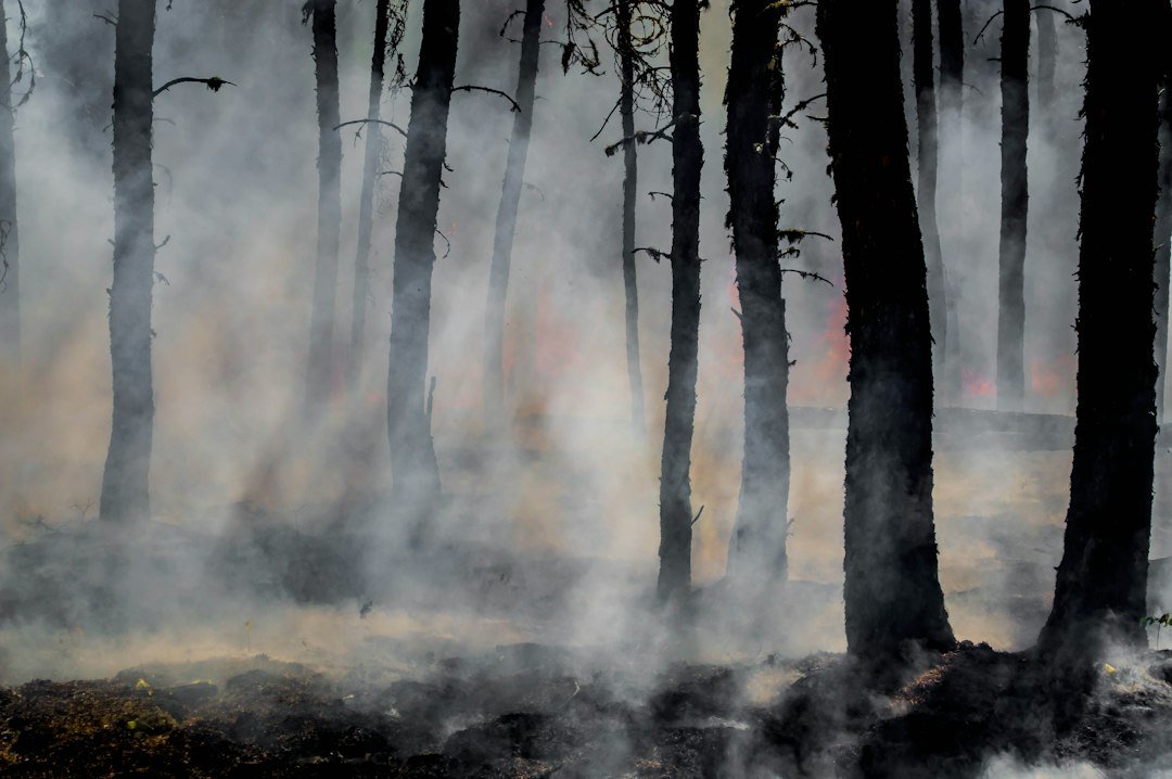 Europe’s 2026 Wildfire Season Exposes Growing Gaps in Rural Land Management