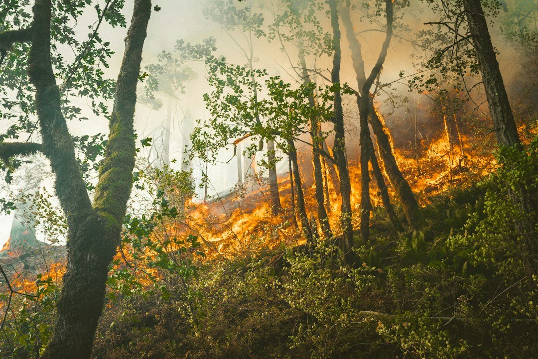 UN Climate Report Warns Current Pledges Still Point to Dangerous Global Warming